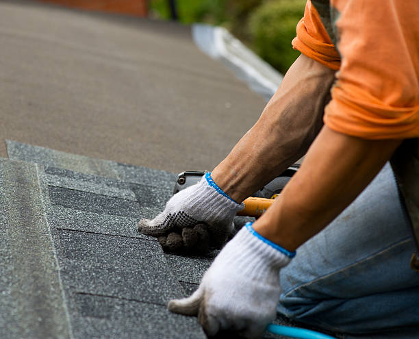 Best Roof Gutter Cleaning  in Fredericksburg, TX